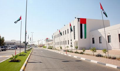 UAE Flag: 