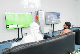 بطولة فيفا 24