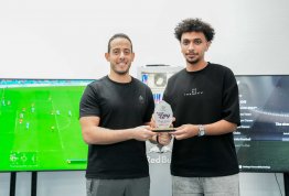 بطولة فيفا 24