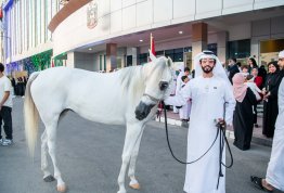 53rd UAE National Day 