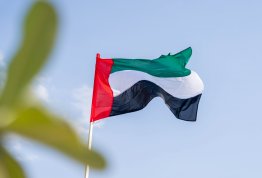 UAE National Day 54