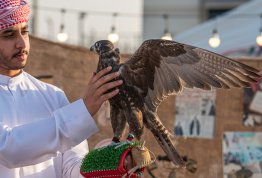 UAE National Day 54
